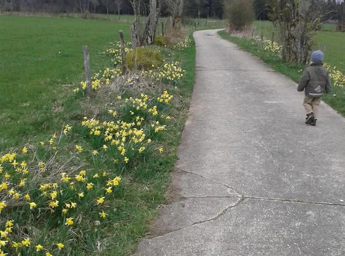 Peters Μονσάου