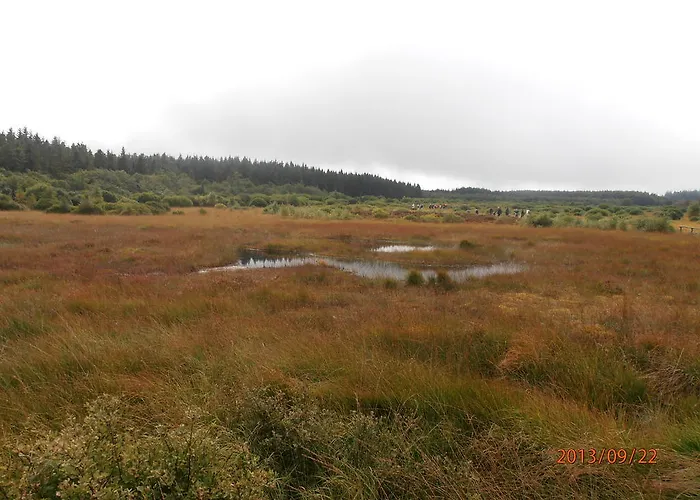 公寓 Peters 蒙绍